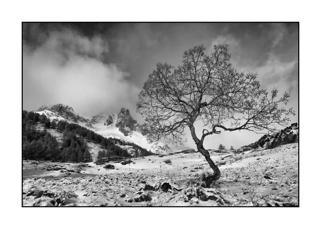 nuances-de-noirs-et-de-blancs/083-paysages-noir-et-blanc-vallee-de-la-claree/fr/17-paysage-vallee-de-la-claree-noir-et-blanc-2283-32B