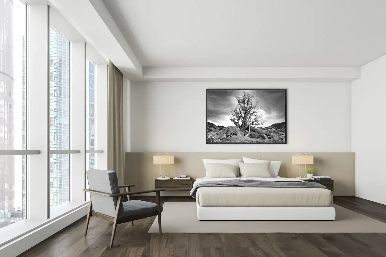 nuances-de-noirs-et-de-blancs/087-paysages-palo-duro/editions-uniques/2169/fr/02-paysage-palo-duro-2169-32C