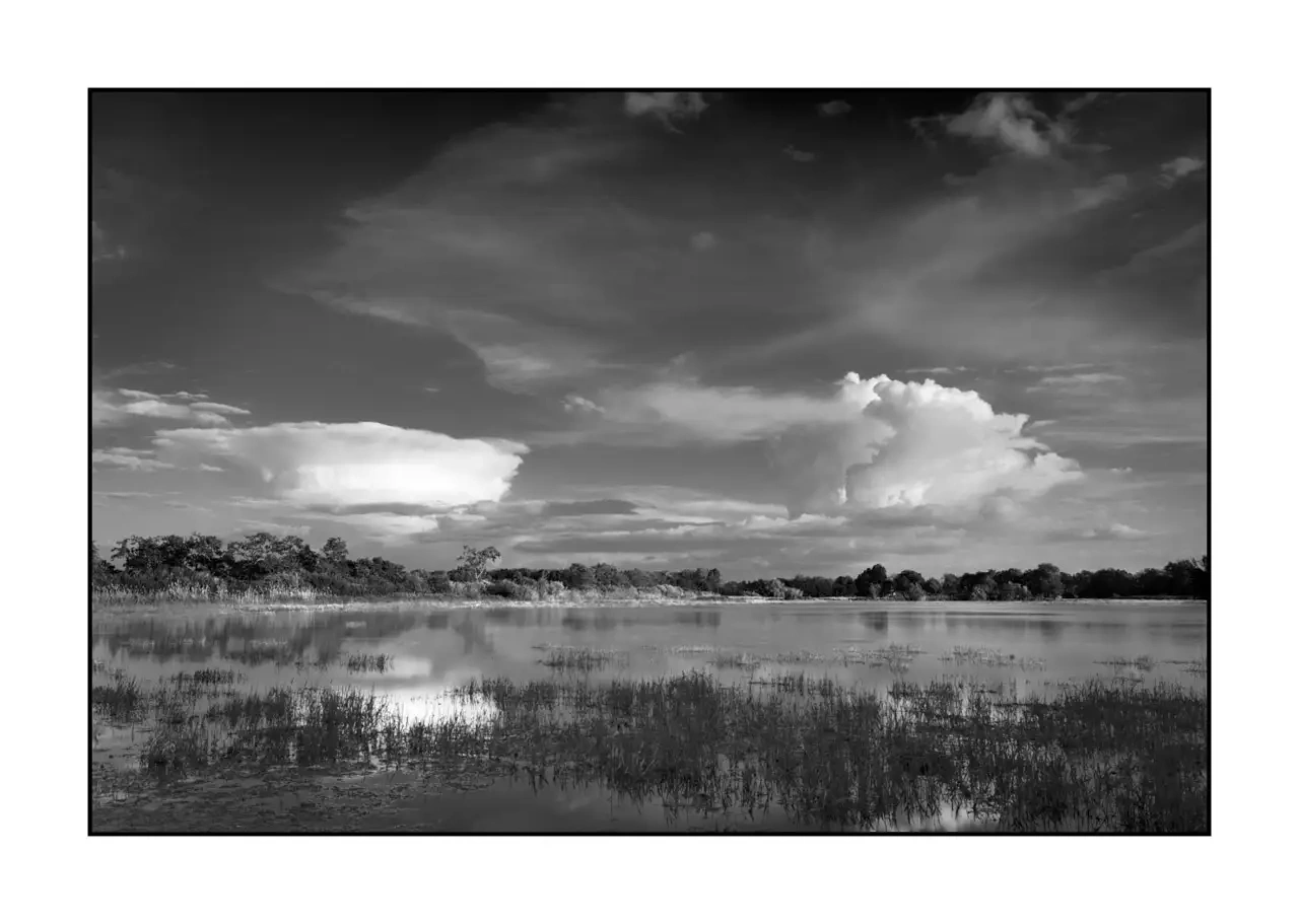 nuances-de-noirs-et-de-blancs/088-le-souffle-des-etangs-oublies-de-la-dombes/en/03-landscape-pond-dombes-2186-32B