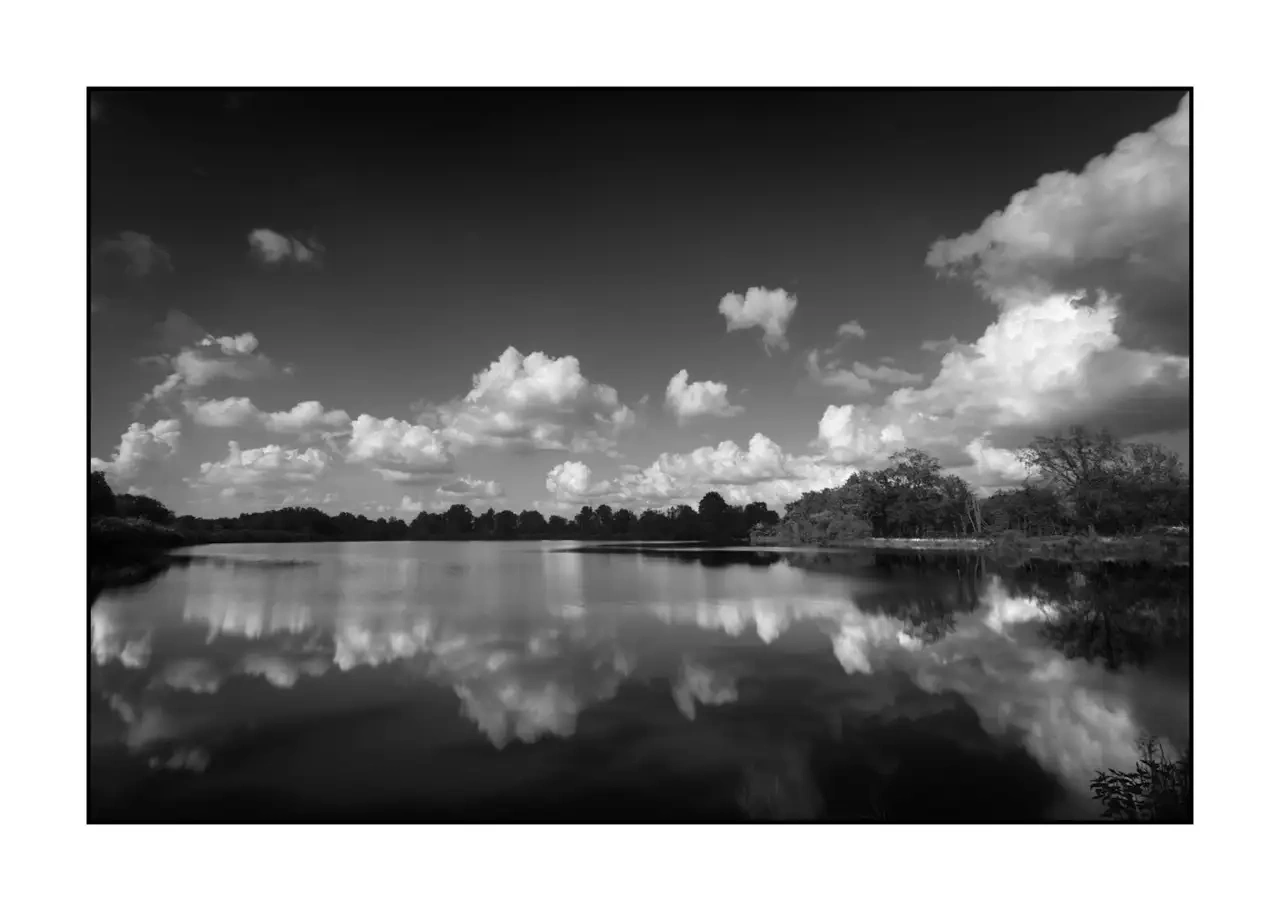 nuances-de-noirs-et-de-blancs/088-le-souffle-des-etangs-oublies-de-la-dombes/en/04-landscape-pond-dombes-2187-32B