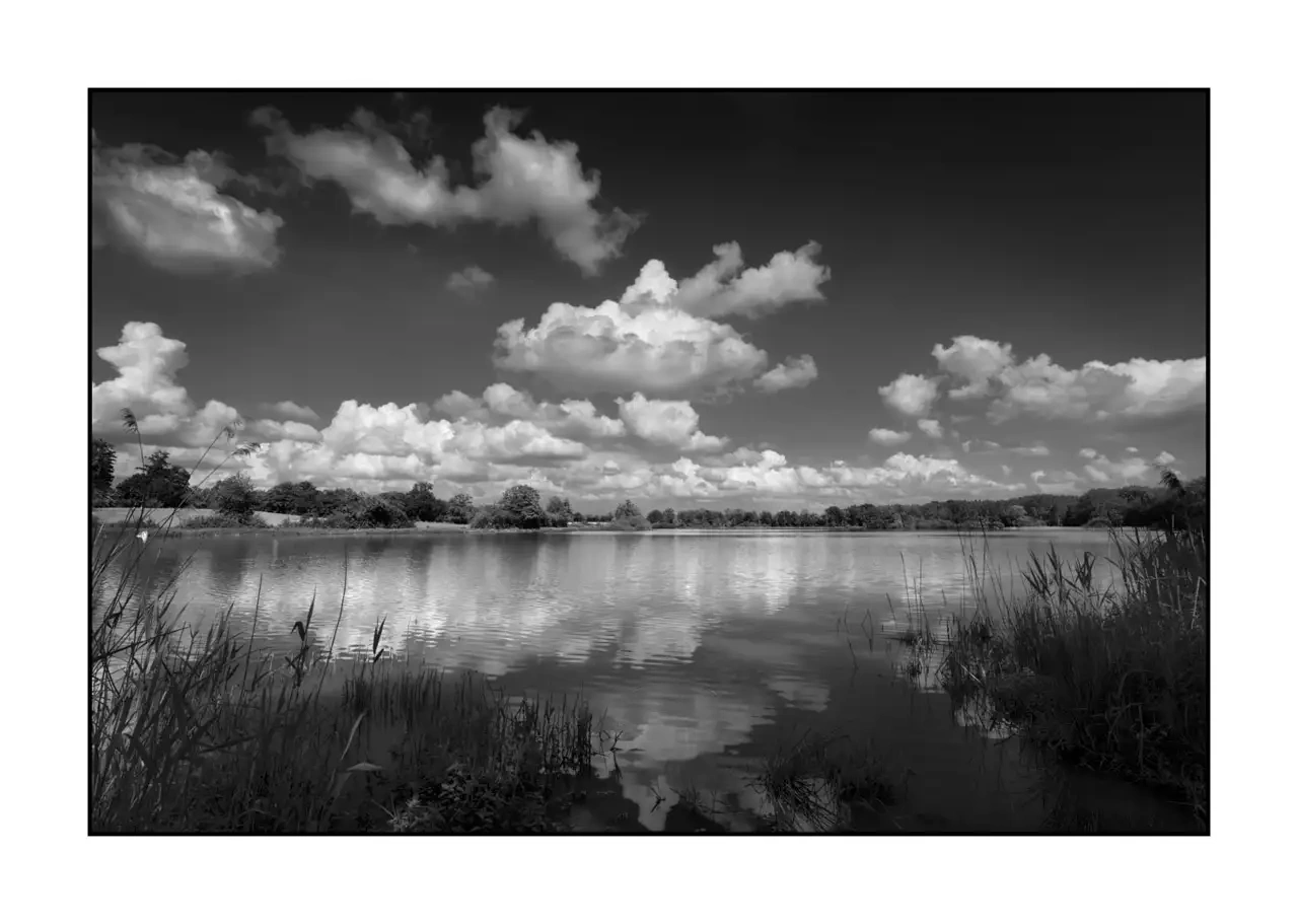 nuances-de-noirs-et-de-blancs/088-le-souffle-des-etangs-oublies-de-la-dombes/en/06-landscape-pond-dombes-2189-32B
