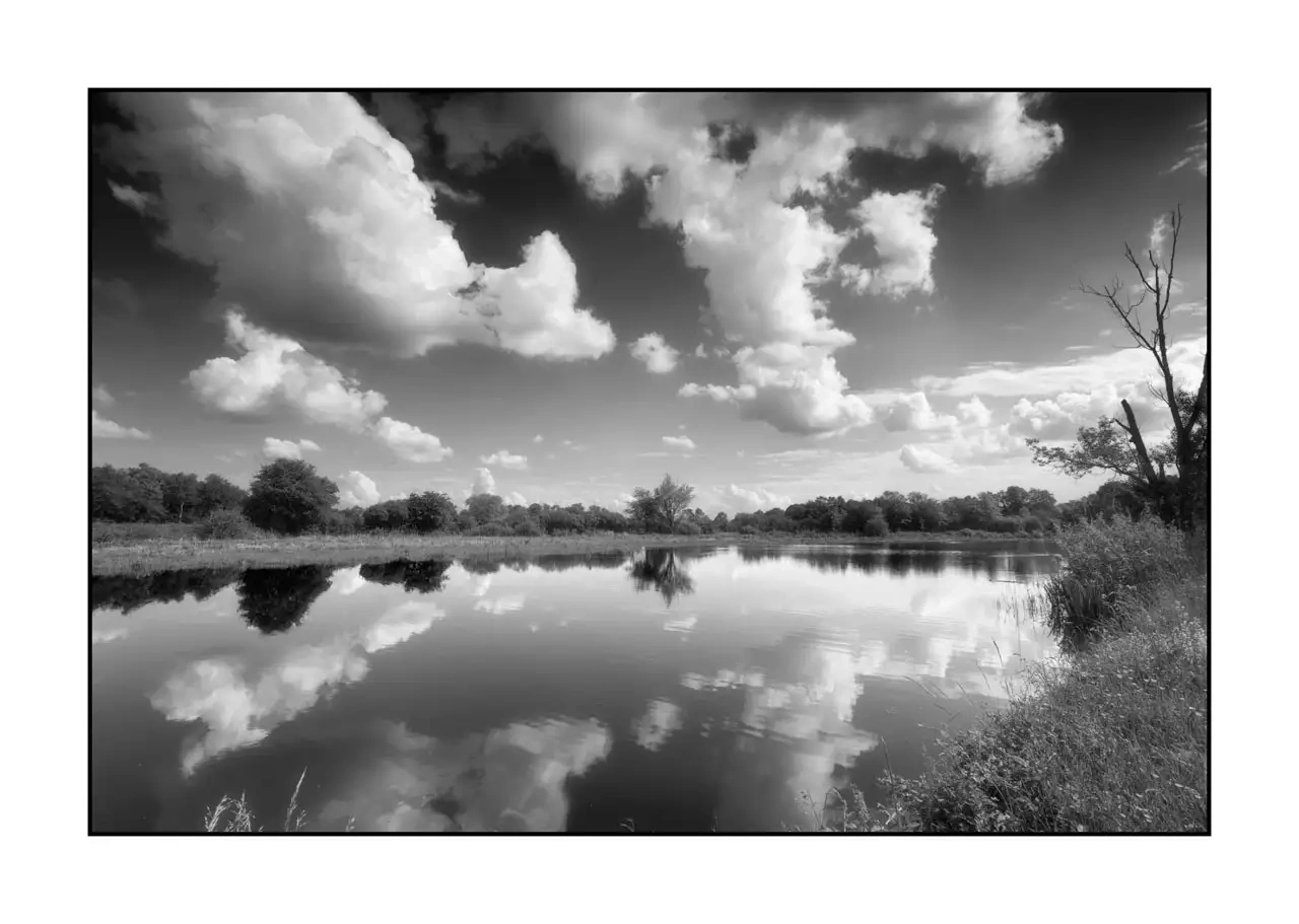 nuances-de-noirs-et-de-blancs/088-le-souffle-des-etangs-oublies-de-la-dombes/en/08-landscape-pond-dombes-2191-32B