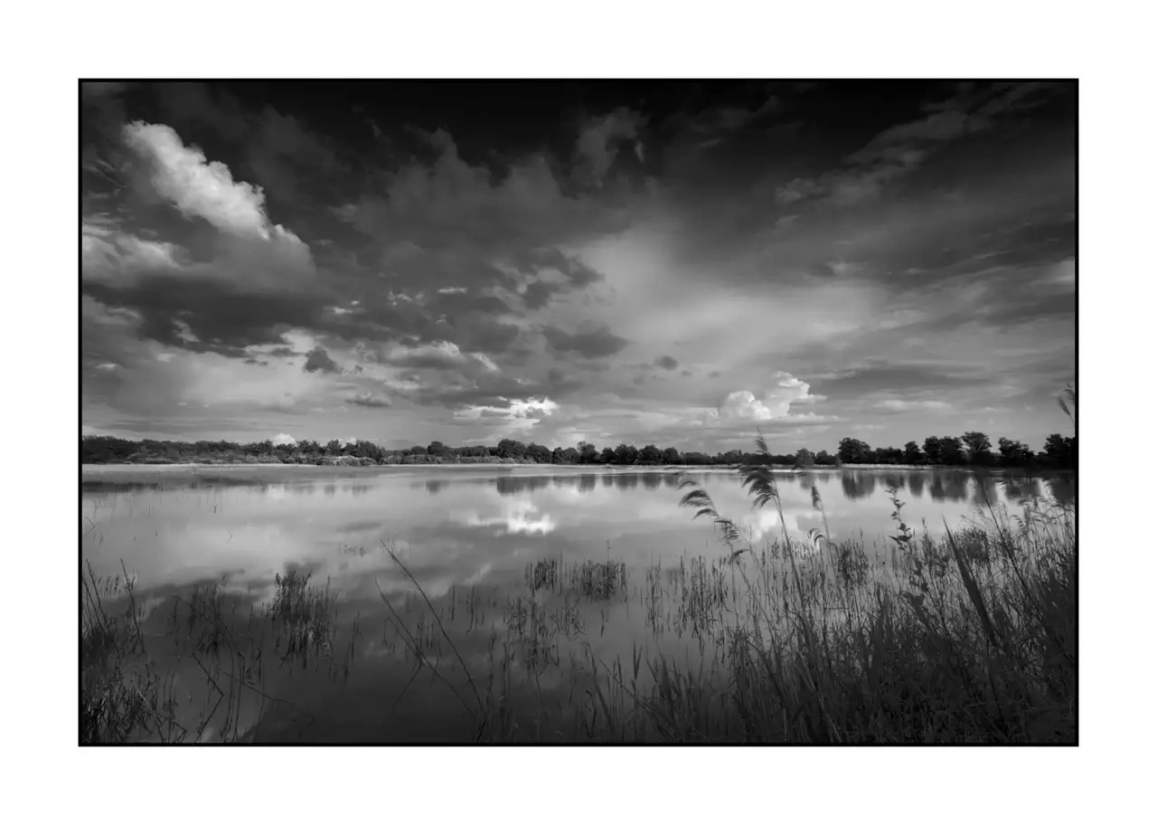nuances-de-noirs-et-de-blancs/088-le-souffle-des-etangs-oublies-de-la-dombes/fr/02-paysage-etang-dombes-2185-32B