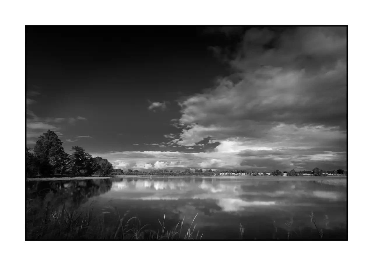 nuances-de-noirs-et-de-blancs/088-le-souffle-des-etangs-oublies-de-la-dombes/fr/05-paysage-etang-dombes-2188-32B