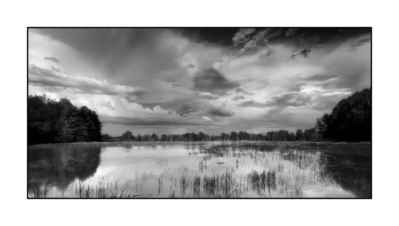 nuances-de-noirs-et-de-blancs/088-le-souffle-des-etangs-oublies-de-la-dombes/fr/07-paysage-etang-dombes-2190-21B