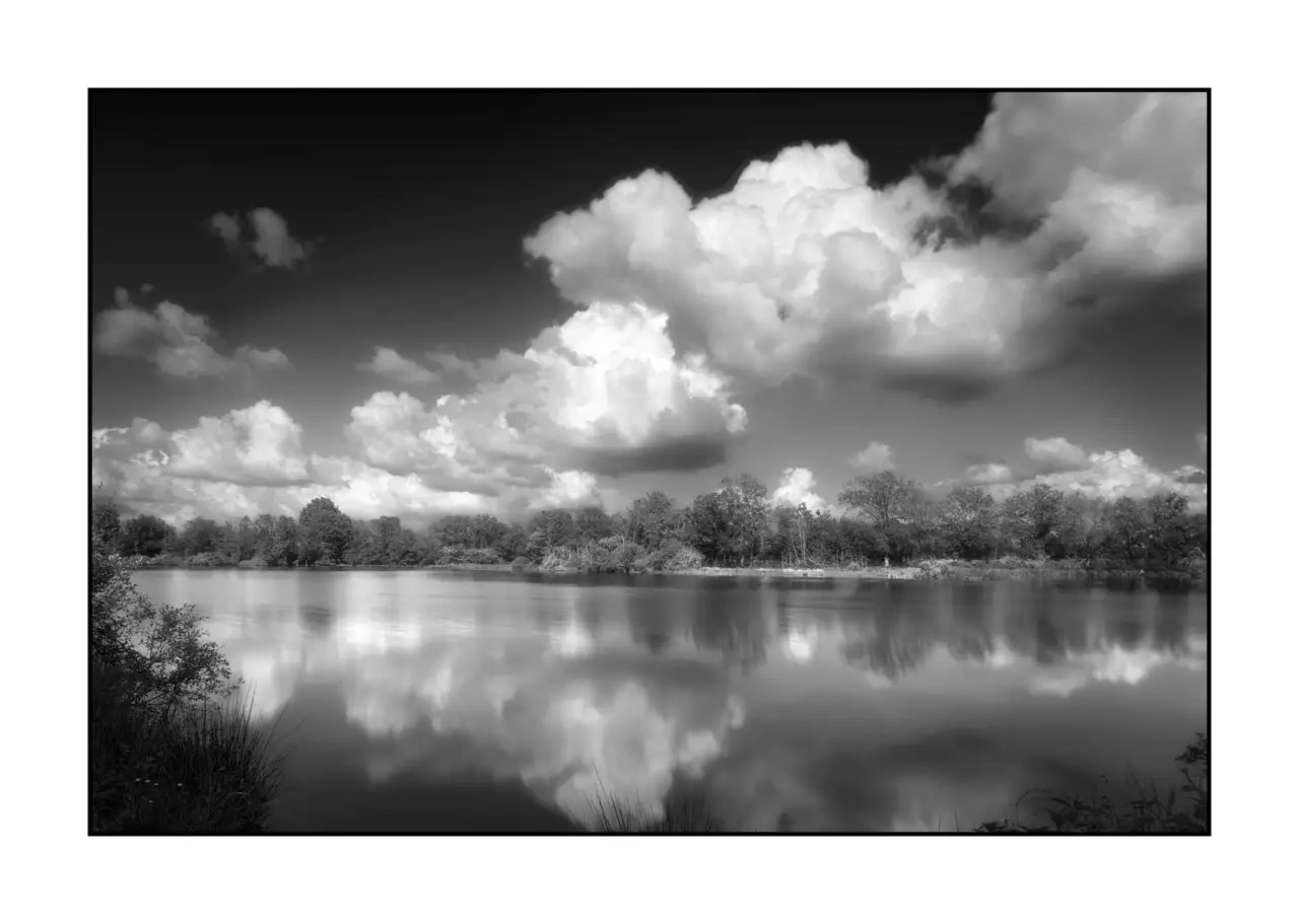 nuances-de-noirs-et-de-blancs/088-le-souffle-des-etangs-oublies-de-la-dombes/fr/09-paysage-etang-dombes-2192-32B