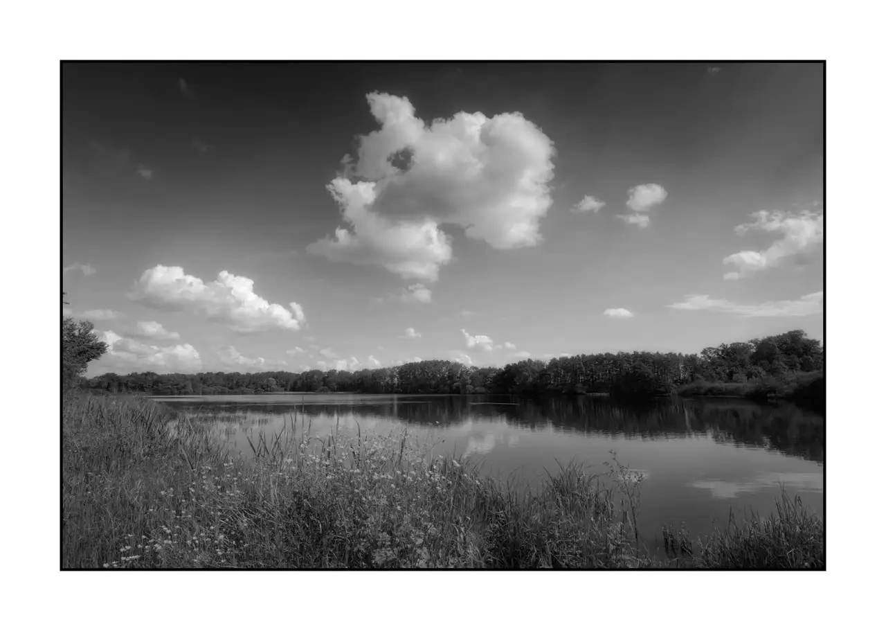 nuances-de-noirs-et-de-blancs/088-le-souffle-des-etangs-oublies-de-la-dombes/fr/10-paysage-etang-dombes-2193-32B
