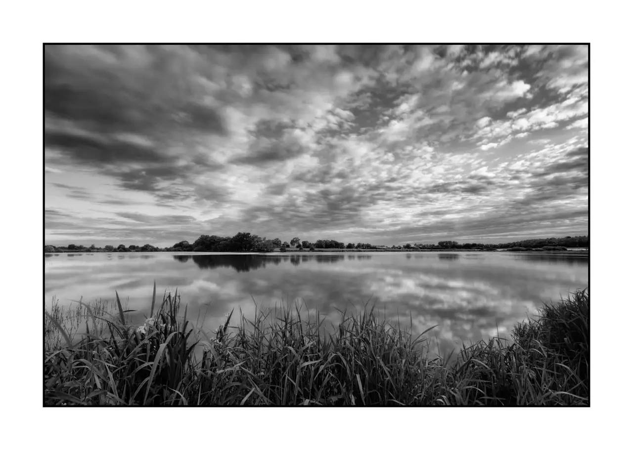 nuances-de-noirs-et-de-blancs/088-le-souffle-des-etangs-oublies-de-la-dombes/fr/12-paysage-etang-dombes-2195-32B