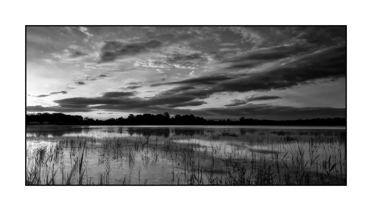 nuances-de-noirs-et-de-blancs/090-l-ame-cachee-de-la-dombes/fr/01-paysage-etang-dombes-2200-21B