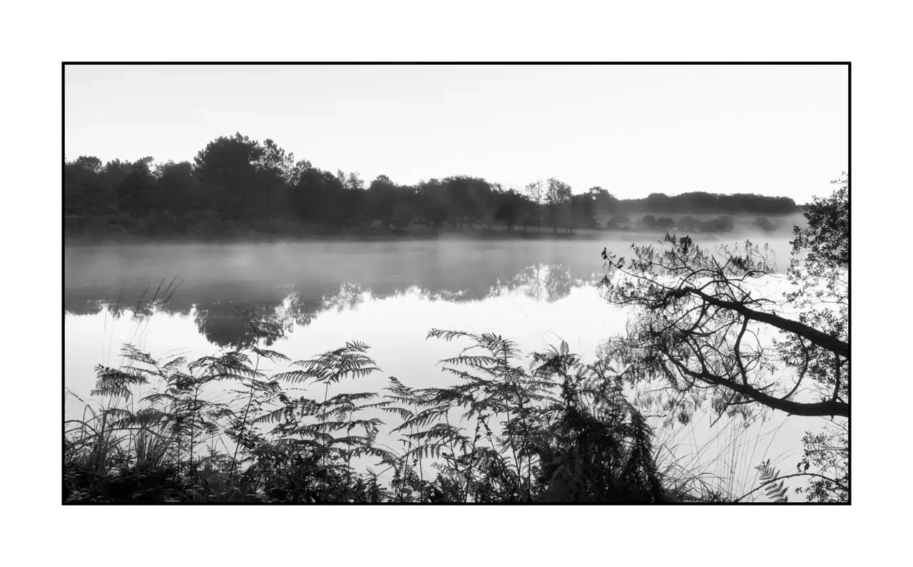 nuances-de-noirs-et-de-blancs/092-effleurer-l'aube/en/02-landscape-haute-saintonge-2291-169B