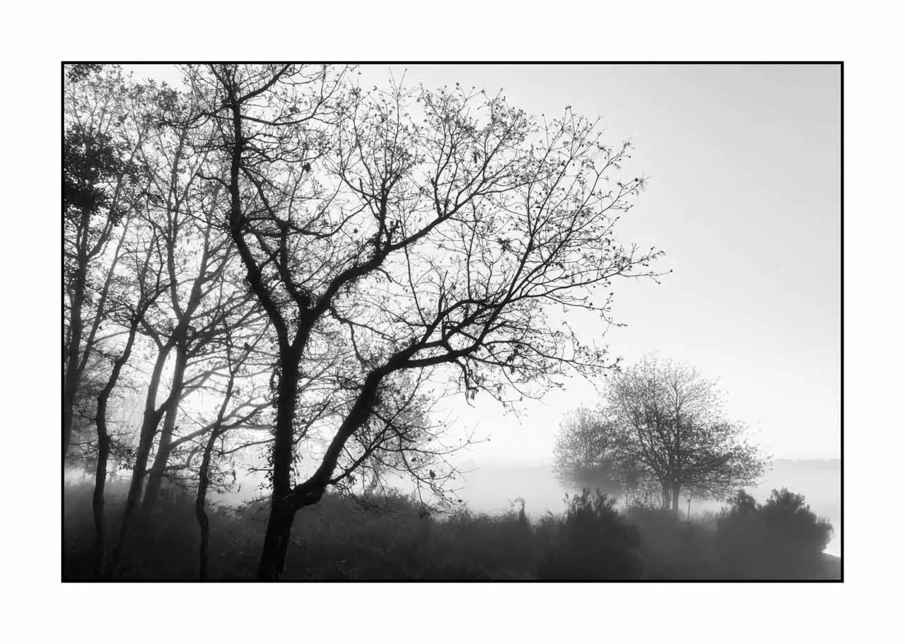 nuances-de-noirs-et-de-blancs/092-effleurer-l'aube/en/08-landscape-haute-saintonge-2297-32B