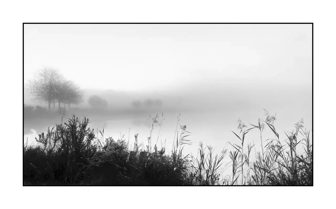 nuances-de-noirs-et-de-blancs/092-effleurer-l'aube/fr/01-paysage-haute-saintonge-2290-169B