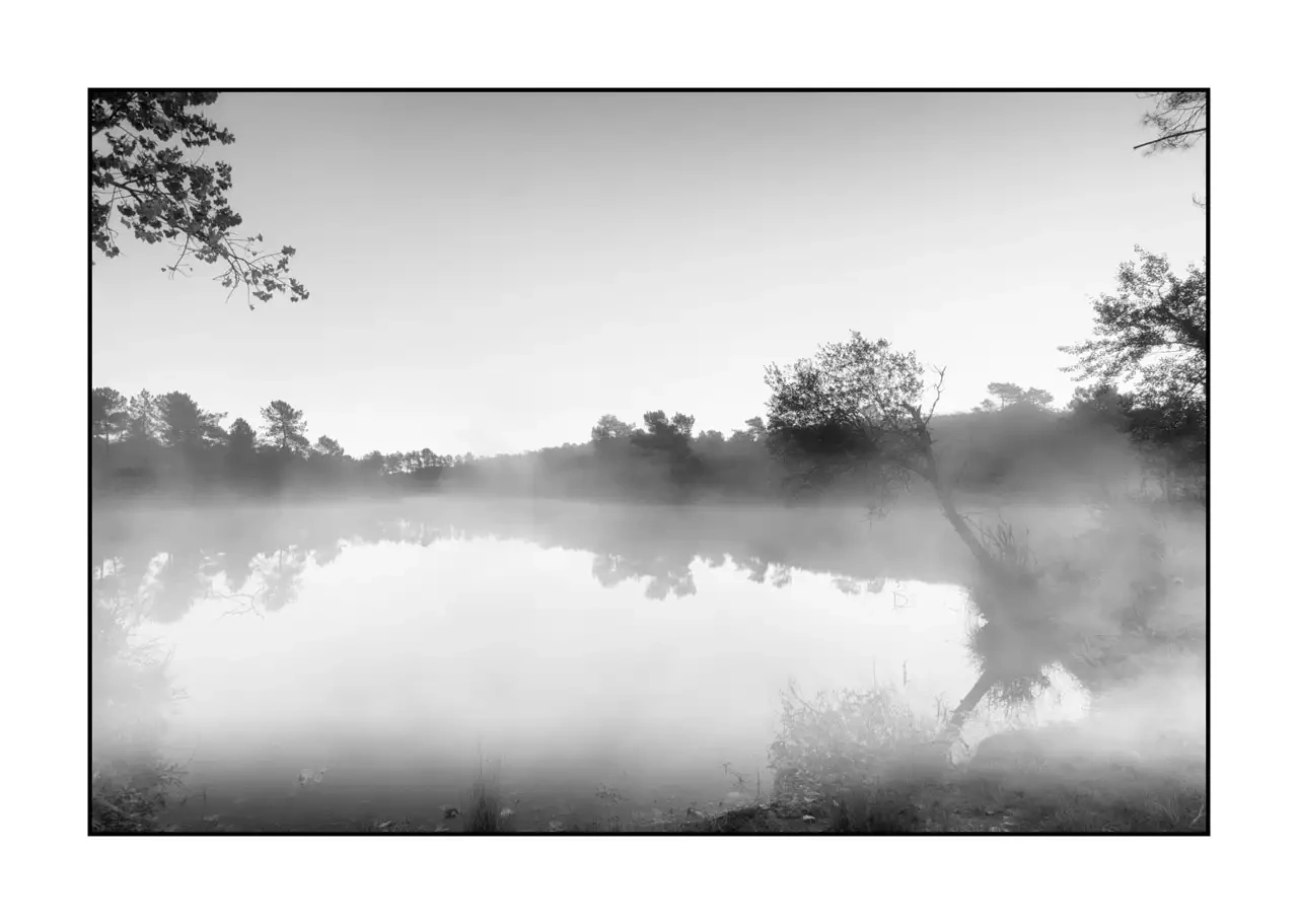 nuances-de-noirs-et-de-blancs/092-effleurer-l'aube/fr/04-paysage-haute-saintonge-2293-32B