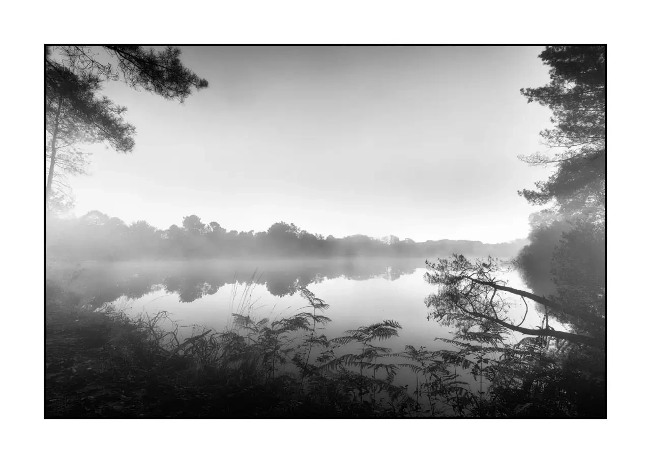 nuances-de-noirs-et-de-blancs/092-effleurer-l'aube/fr/05-paysage-haute-saintonge-2294-32B
