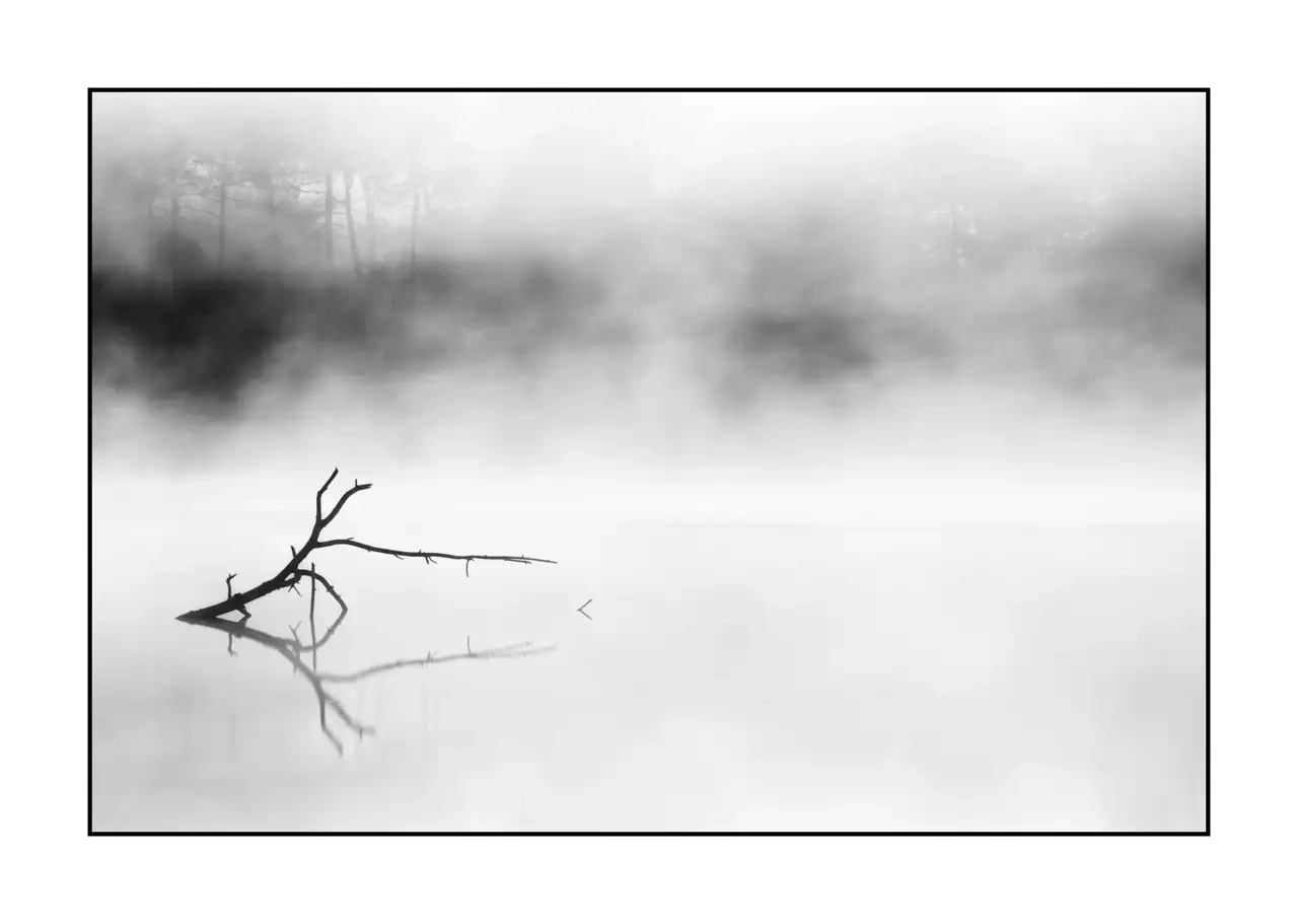 nuances-de-noirs-et-de-blancs/092-effleurer-l'aube/fr/10-paysage-haute-saintonge-2299-32B