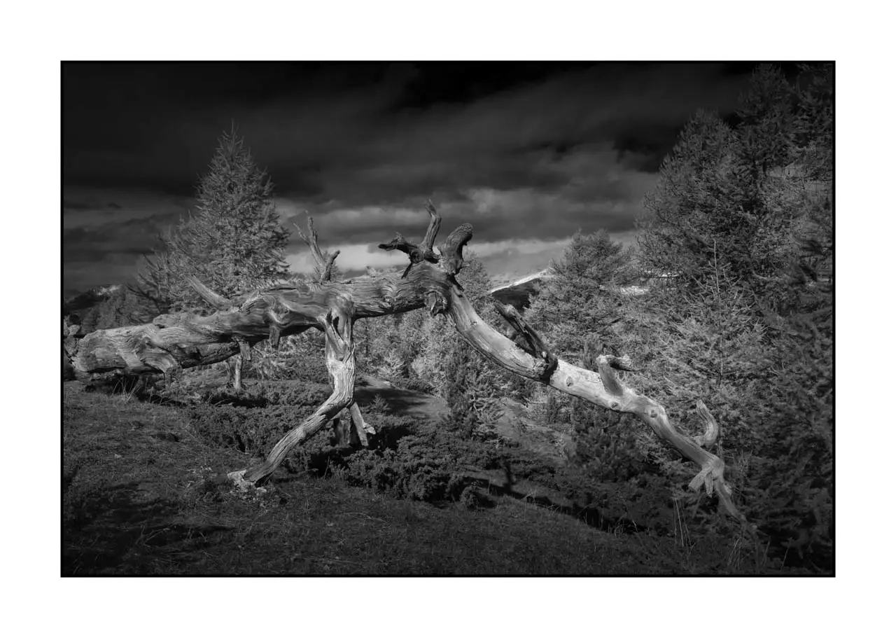 nuances-de-noirs-et-de-blancs/097-au-dela-des-limites-du-temps/edition-limitee/en/15-mountain-landscape-queyras-hautes-alpes-2381-32B
