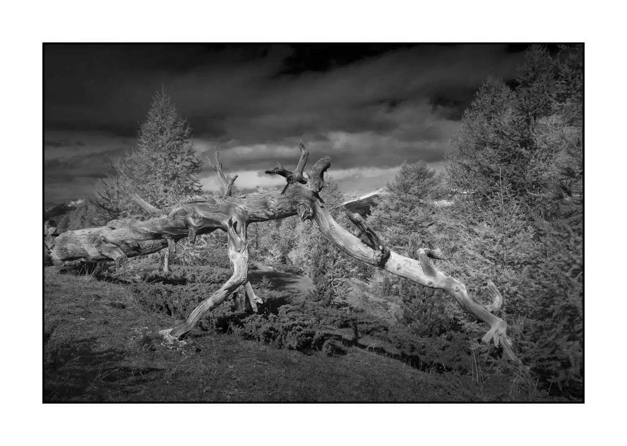 nuances-de-noirs-et-de-blancs/097-au-dela-des-limites-du-temps/edition-limitee/fr/15-paysage-montagne-queyras-hautes-alpes-2381-32B