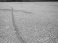 Death Valley in California in United States in black and white