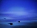 Blue hour at dawn on Yellowstone lake.