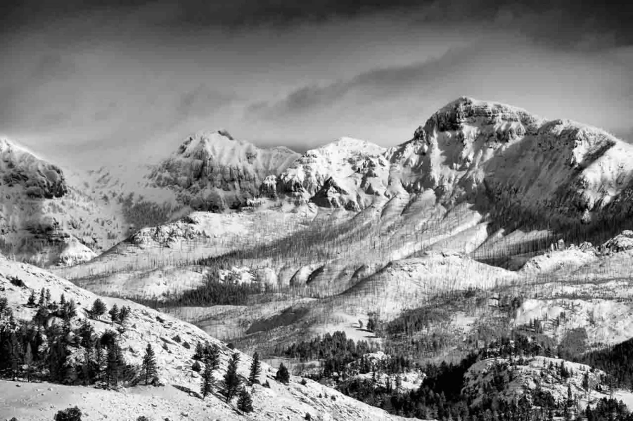 Paysage enneigé du Yellowstone en hiver.