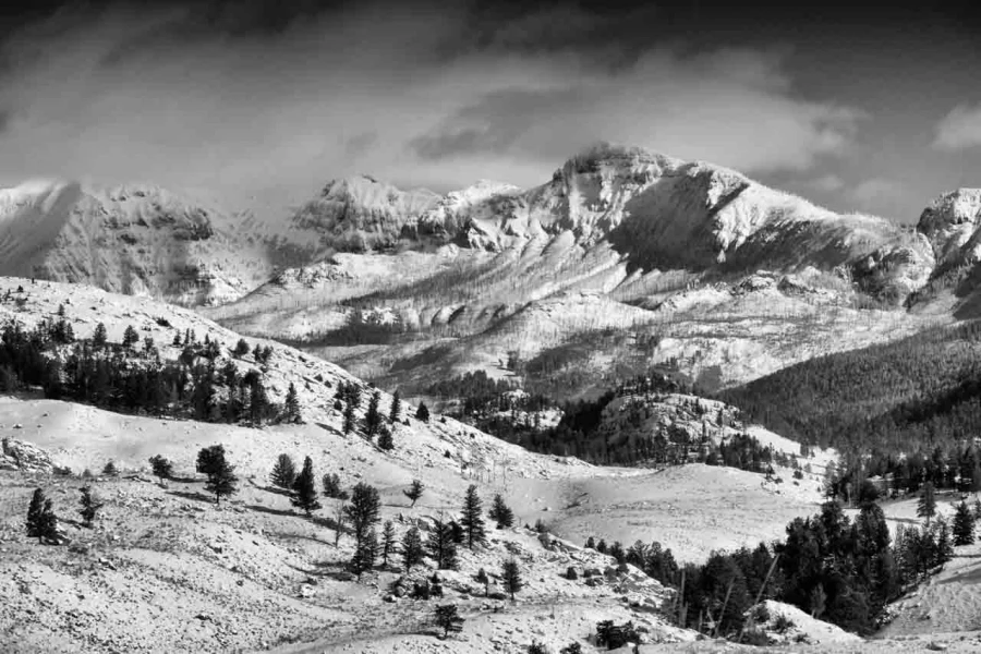 Paysage enneigé du Yellowstone en hiver.