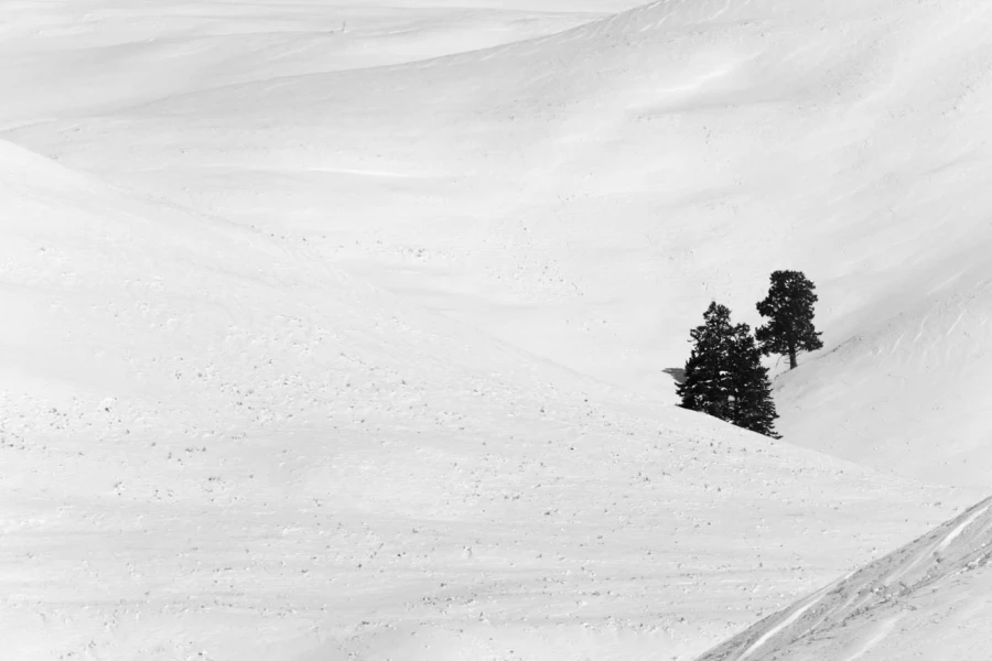 Paysage enneigé du Yellowstone en hiver.