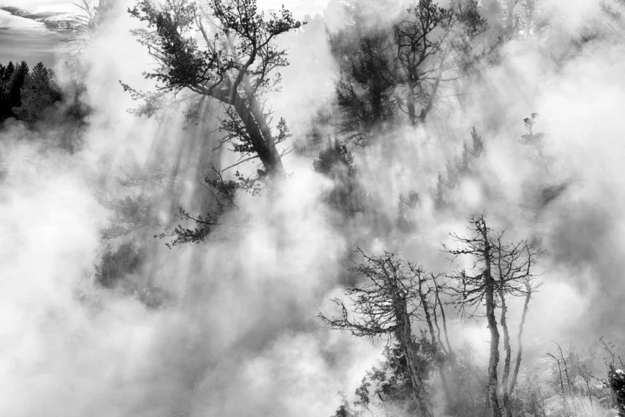 Paysage enneigé du Yellowstone en hiver.