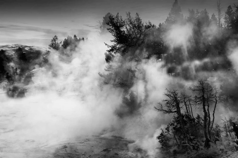 Paysage enneigé du Yellowstone en hiver.