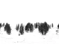 Paysage enneigé du Yellowstone en hiver.