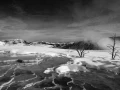 Paysage enneigé du Yellowstone en hiver.