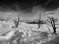 Paysage enneigé du Yellowstone en hiver.