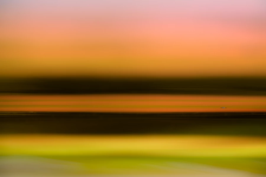 Ripples on the surface of the water on a pond.