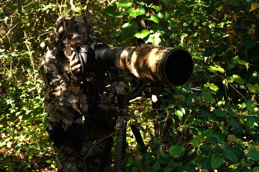 Stage photo animalière brame du cerf avec Amar Guillen, Photogr