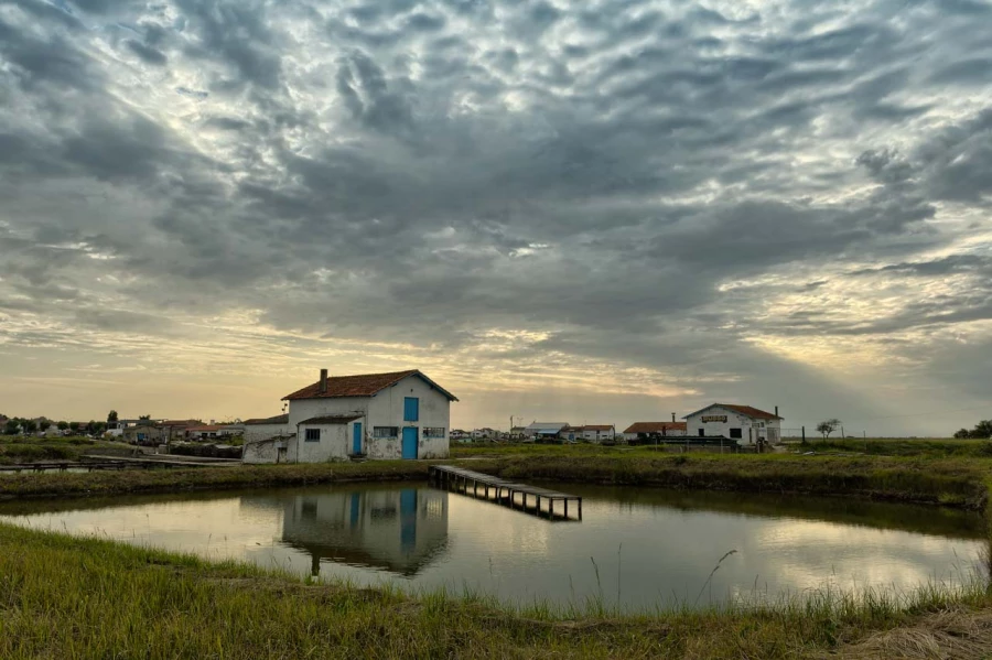 Stages photo de paysages en Charente-Maritime avec Amar Guillen,