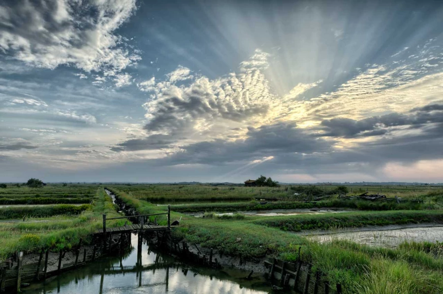 Stages photo de paysages en Charente-Maritime avec Amar Guillen,