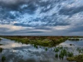 Stages photo de paysages en Charente-Maritime avec Amar Guillen,