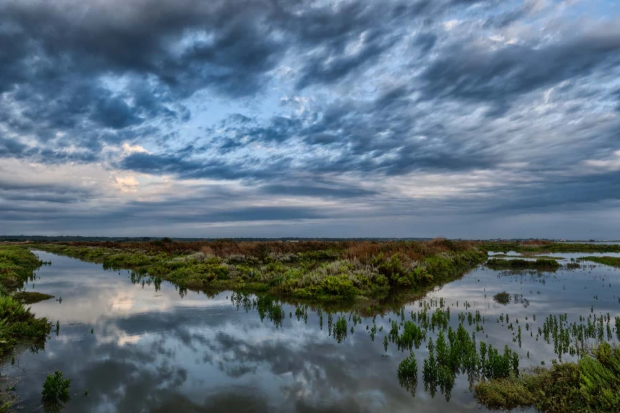 Stages photo de paysages en Charente-Maritime avec Amar Guillen,