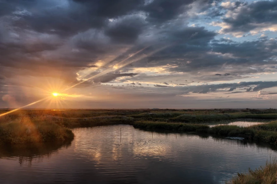 Stages photo de paysages en Charente-Maritime avec Amar Guillen,