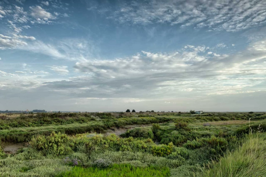 Stages photo de paysages en Charente-Maritime avec Amar Guillen,
