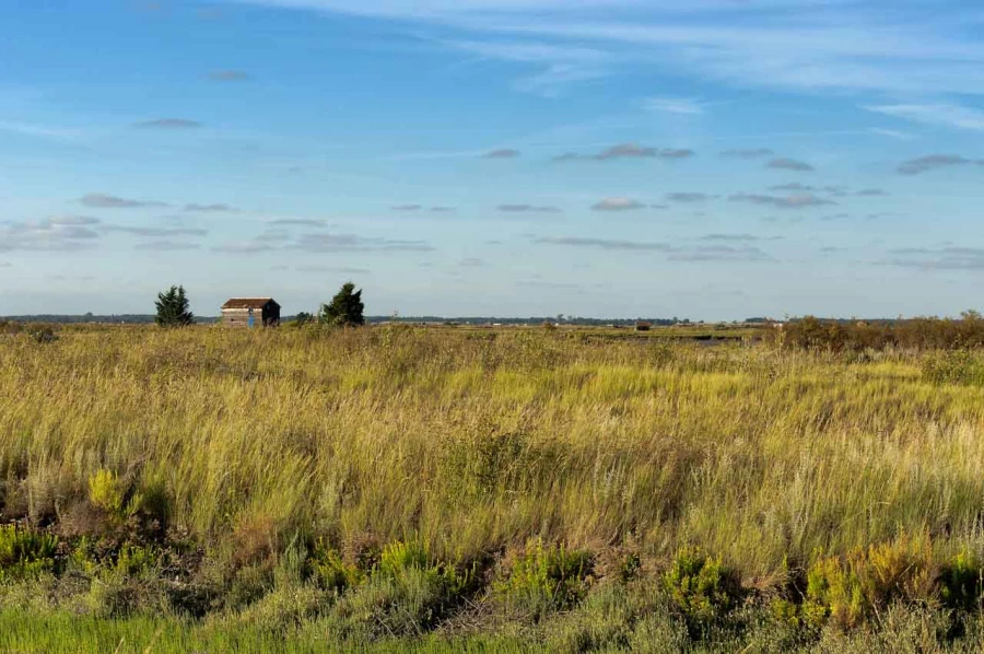 Stages photo de paysages en Charente-Maritime avec Amar Guillen,