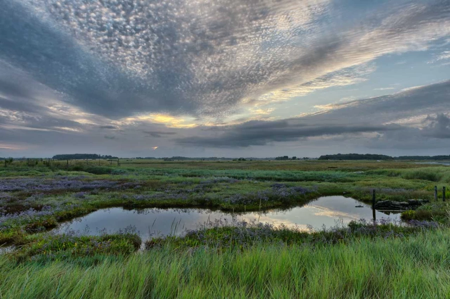 Stages photo de paysages en Charente-Maritime avec Amar Guillen,