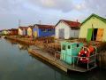 Stages photo de paysages en Charente-Maritime avec Amar Guillen,