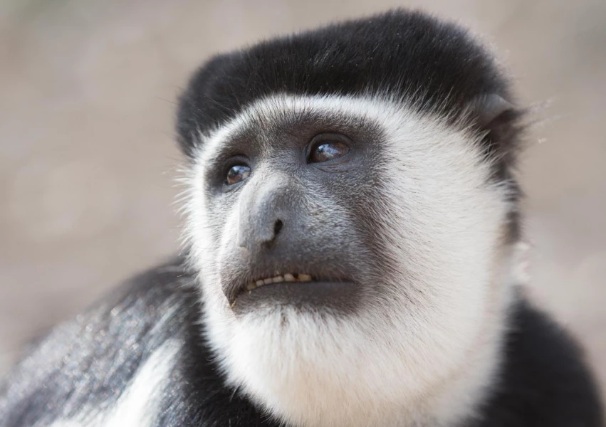 Photos des stagiaires pendant des stages de photo animalière av