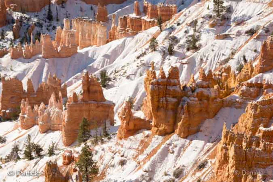 Photos des stagiaires pendant des stages de photo paysages avec 