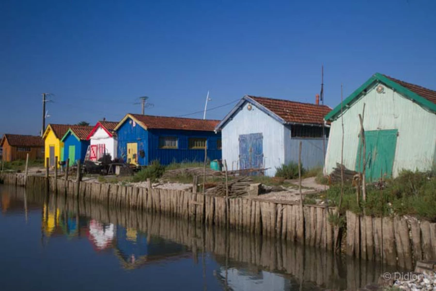 Photos des stagiaires pendant des stages de photo paysages avec 