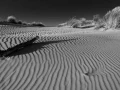 Photos des stagiaires pendant des stages de photo paysages avec 