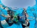 Ambiance des stages photo sous-marine avec Amar Guillen, Photogr