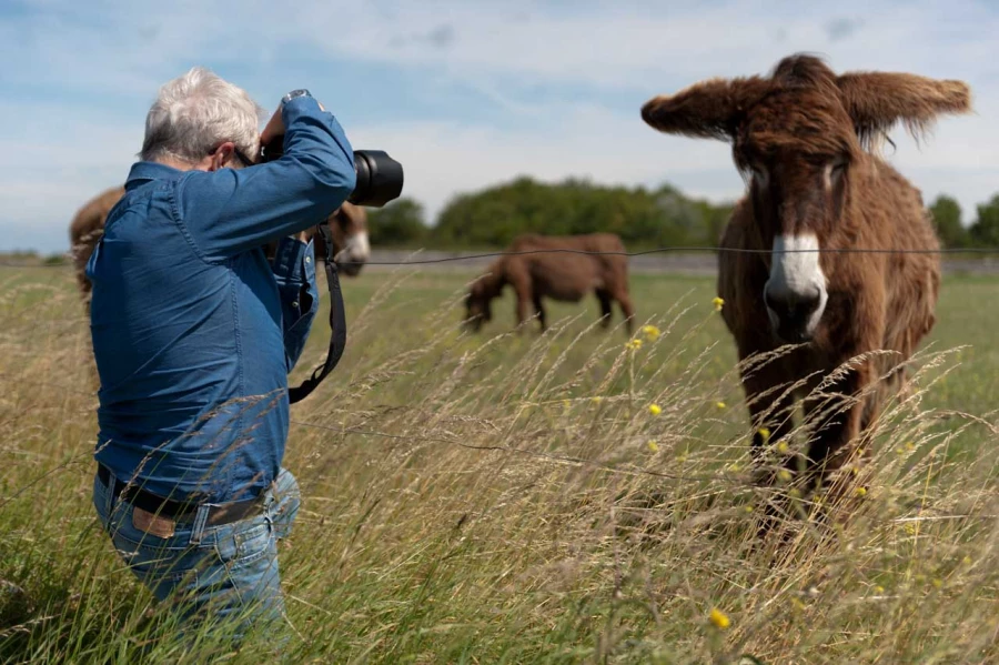 Ambiance des stages photo paysages avec Amar Guillen, Photograph
