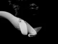 Fish look by Amar Guillen, photographer artist.