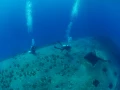 L'épave du Salem Express à Safaga en Mer Rouge en Egypte  Amar